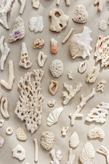 Seashells and corals as minimal pattern. Vertical layout of found shell and coral on ocean shore. Summer relahation concept, beach vibes. Top view nature background, neutral white beige tones gradient