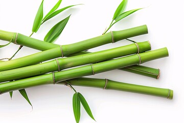Obraz premium Fresh Green Bamboo Stalks with Leaves, Natural Bamboo Plant on White Background, Symbol of Strength and Flexibility, Eco-Friendly and Sustainable Resource, Perfect for Zen and Minimalist Designs