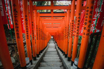 Red torii gates passage staircase tunnel