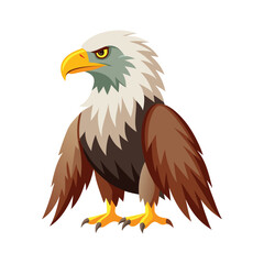 Fototapeta premium eagle vector art color design illustration
