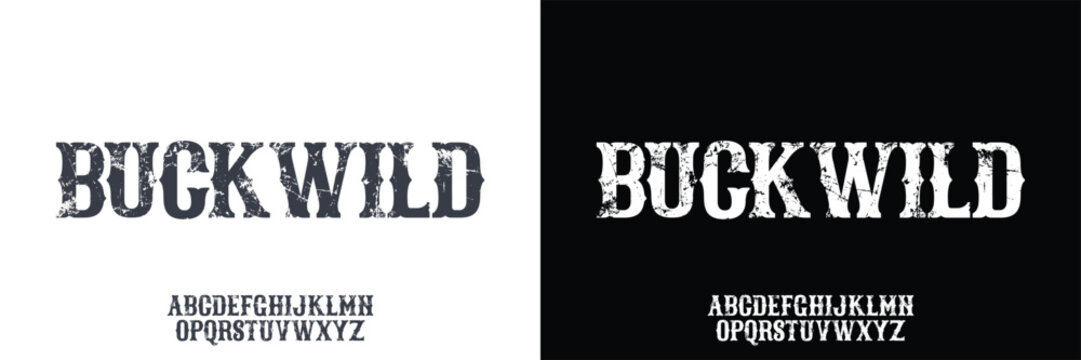 Western style font with distressed texture. Grunge texture. Rough texture