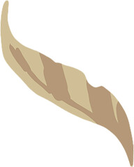 Meadow field wildflower garden greenery countryside elements