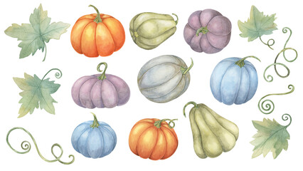 Orange, blue, grey, purple pumpkins, green gourds and leaves watercolor illustration. Autumn vegetables set. Squash clipart for seasonal modern decor, Thanksgiving card and invitation, festive merch