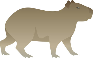 Color vector illustration of cute capybara side view. Wild animal isolated on white background. Herbivorous, friendly mammal, exotic pet. Wildlife of South America.