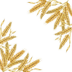 Wheat ears square frame. Barley stalks watercolor design for bread packaging, bakery branding. Rustic clipart for barn wedding invitations, autumn harvest festival, Thanksgiving, Shavuot celebration