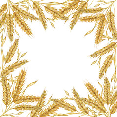 Wheat ears square frame. Barley stalks watercolor design for bread packaging, bakery branding. Rustic clipart for barn wedding invitations, autumn harvest festival, Thanksgiving, Shavuot celebration