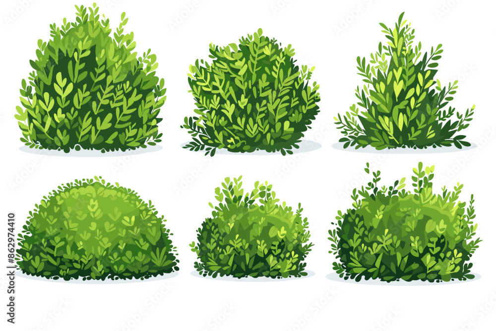 Wall mural Set of vector bush illustrations on a white background. Green flat bushes on white background. Green grass vector set. Shrub bush shrubbery tree simple abstract. Eco element, foliage, stylized ecology