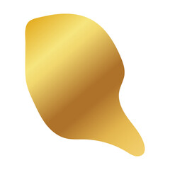 Liquid Fluid Golden Gradient random organic shapes