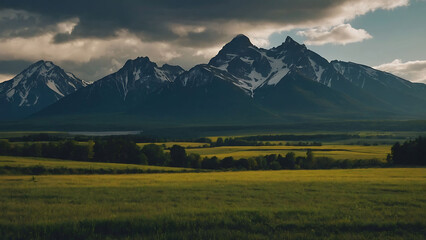 Fototapeta premium a field with a mountain in the background 