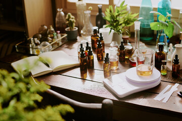 Wooden table with perfume samples essential oils kitchen scale, houseplant and cactus in clay and...