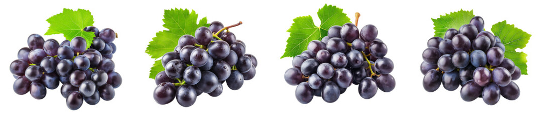 Fototapeta premium Bunch of fresh dark purple grapes isolated on transparent background