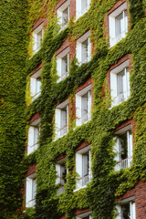 old building with windows