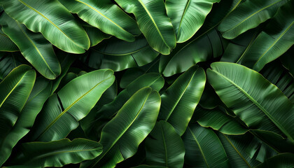 Fototapeta premium Tropical Green Leaves Pattern