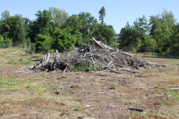 Holzhaufen