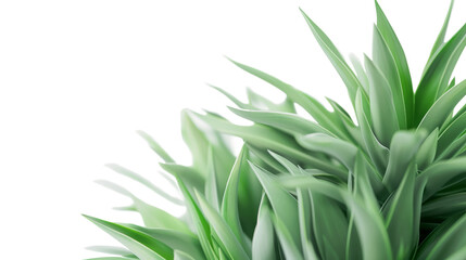 Obraz premium Fresh green leaves on white background. Vibrant green leaves with a fresh, clean feel, perfect for nature-themed designs.