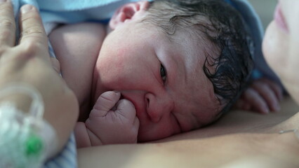 Newborn Face Close-Up Moments After Birth - Resting on Mother's Chest, Highlighting Immediate...