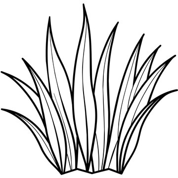 recommend clip art: Grass line art vector illustration