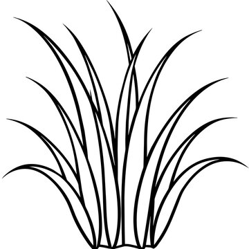 recommend clip art: Grass line art vector illustration