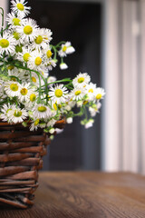 Bouquet of small daises in wicker basket. Chamomile flowers in basket on the table. Cozy interior with white flowers. Floral gift. Rural lifestyle. Daisy flowers in decor. Summertime nature.