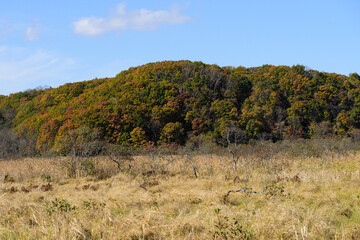 Obraz premium 秋の釧路湿原