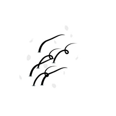 hair dandruff