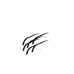 hair dandruff