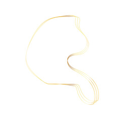 Gold liquid geometric shapes. Graphic elements