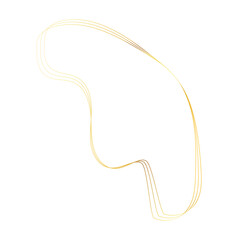 Gold liquid geometric shapes. Graphic elements