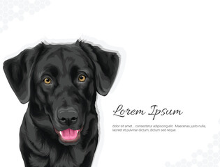 Vector Labrador wall decor ideas