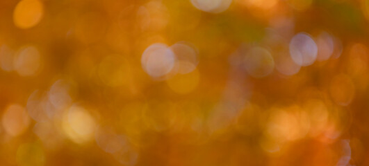 Blurred bokeh background. Autumn defocused nature. Blur backdrop of autumn leaves. Unfocused colorful season. Bokeh autumn leaves. Fall blurred background orange color. Fall nature © be free