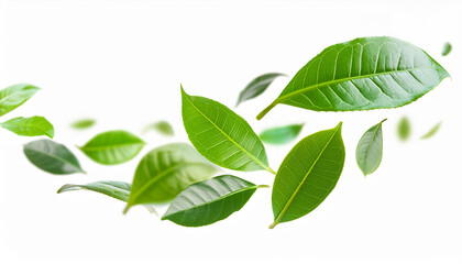 Fototapeta premium green leaves flying and floating in the air isolated on white background, Flying whirl green leaves in the air, Healthy products by organic natural ingredients concept. Generative AI