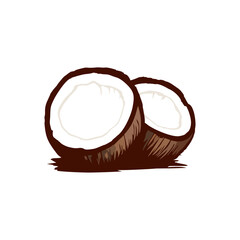 Hand Drawn Half Cut Coconut Fruit Illustration