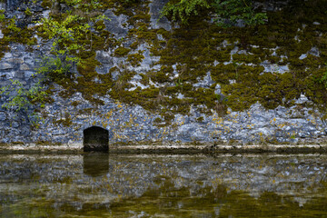 The stone wall of an ancient castle in front of a moat with water is covered with moss.