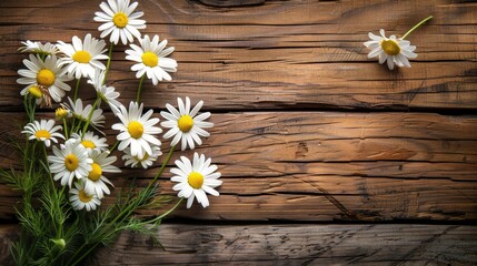 Obraz premium Daisy chamomile flowers on wooden background. View with copy space
