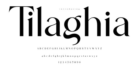 Obraz premium Modern Stylish Serif Balanced Elegant Font Alphabet Vector ABC 