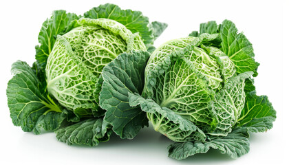 Obraz premium Two Green Savoy Cabbages on a White Background