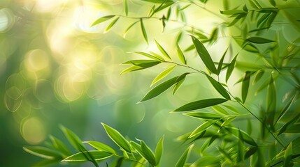 Obraz premium Close-up abstract nature background Green nature background.