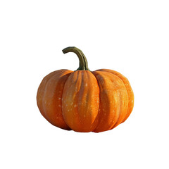 pumpkin isolated on white