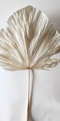 Wedding Program Fan Design with Palm Leaf Detail and White and Grey Color Scheme