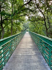 A metal bridge gracefully spans a forest creek, blending modern engineering with natural beauty. The sturdy structure provides a picturesque pathway, inviting exploration and connecting the serene air