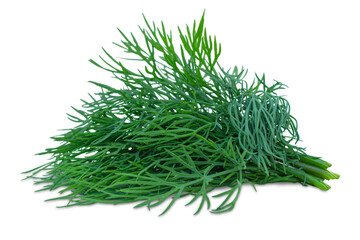 Bunch of fresh dill isolated on transparent background.