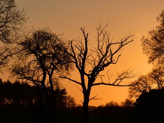 Sunset at Lake Lohmen (Germany)