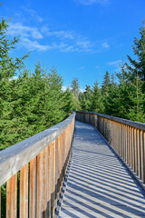 Erlebnispfad Lotharpfad, Wanderweg mit Holzstegen durch Wald- und Moorgebiet im Nordschwarzwald im...