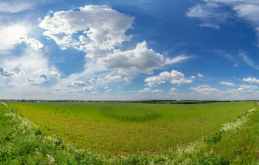 Blue sky with clouds over green meadow, scenic natural landscape background