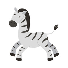 Cute zebra isolated on a white background.