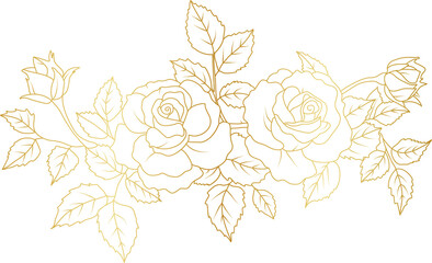 Luxury Rose flowers gold line art illustration