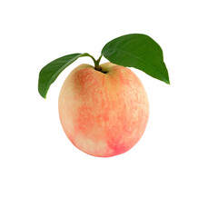 Peach fruit with green leaf on white background.