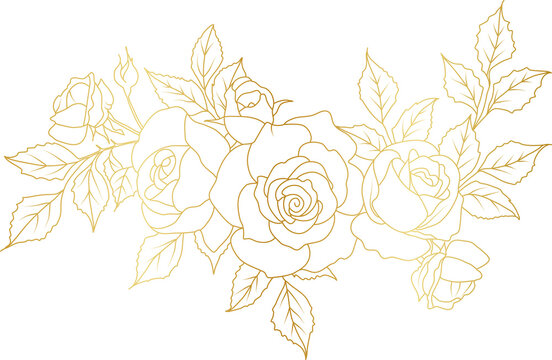 Luxury Rose flowers gold line art illustration