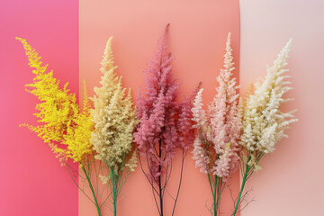 vibrant astilbe flower arrangement in a spectrum of pink to yellow on a pastel background