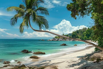 Obraz premium Sunny day at tropical beach with panoramic view.